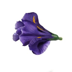 Irys – ciemny fiolet 24 sztuki