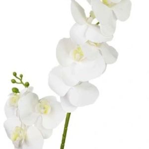 Storczyk/orchidea biały 85cm