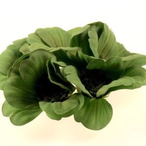 Stroik na świeczkę | Maki zielone