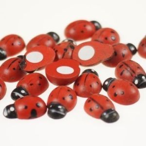 Biedronka na przylepkę (2,5 cm x 1,6 cm)