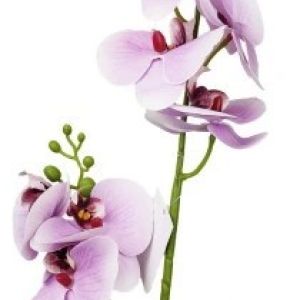 Storczyk/Orchidea jasnofioletowy 85 cm