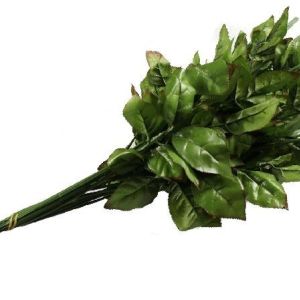 Łodyga do róży wyrobowej 24 szt. / op.