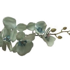 Storczyk silikonowy – zielony jasny