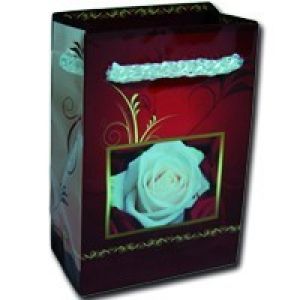 Torebki dekoracyjne – TM