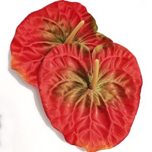 kwiat wyrobowy – anturium czerwono-zielone