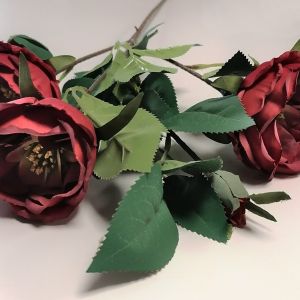 PIWONIA NA ŁODYDZE czerwona