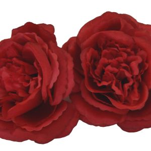 Róża angielska czerwona 12 szt. paczka