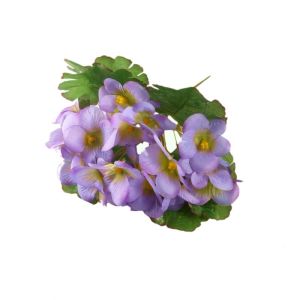 Prymulki –  jasnofioletowe