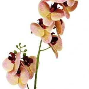 Storczyk/Orchidea żółty 85cm
