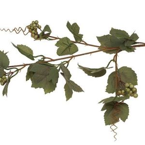 Winogrono – liście (omszałe)