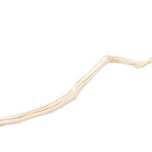 Wybielony kij banana