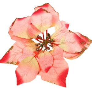 Gwiazda betlejemska – różowa op./12 szt.