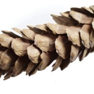 Szyszka dekoracyjna-duża/op. 10 szt