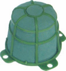 Żółwik duży | Victoria®