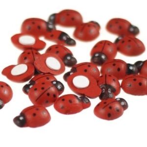 Biedronka na przylepkę (2 cm x 1,3 cm)