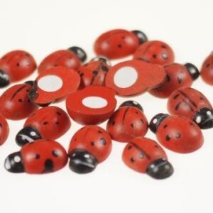 Biedronka na przylepkę (2,5 cm x 1,6 cm)