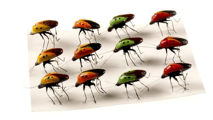 Chrząszcz kolorowy w kropki | 12szt.