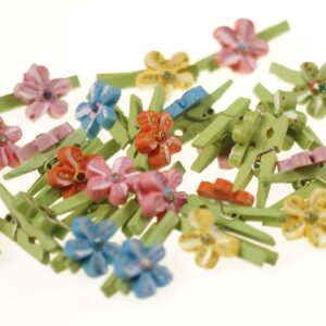 Kwiatuszek na klamerce.