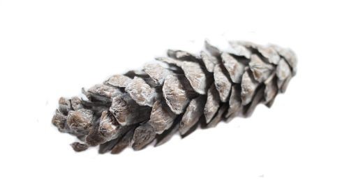 Szyszka dekoracyjna-biała