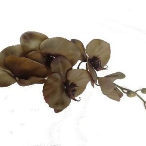 Storczyk silikonowy - zielony