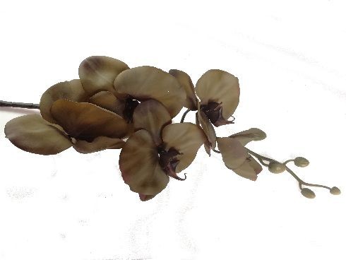 Storczyk silikonowy - zielony