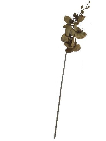 Storczyk silikonowy - zielony