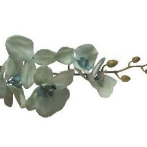 Storczyk silikonowy - zielony jasny