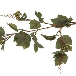 Winogrono - liście omszałe