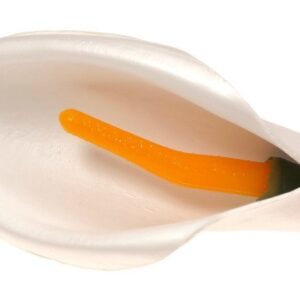 Kalla biała - kwiat wyrobowy (op.12 szt.)