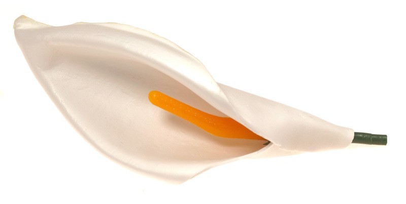 Kalla biała - kwiat wyrobowy (op.12 szt.)