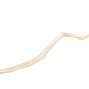 Wybielony kij banana