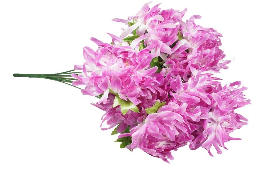 Fioletowa chryzantema - bukiet