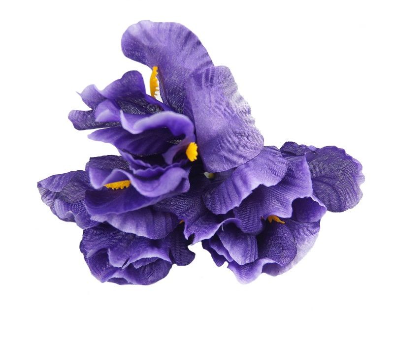 Irys - ciemny fiolet 24 sztuki