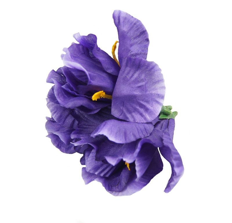 Irys - ciemny fiolet 24 sztuki