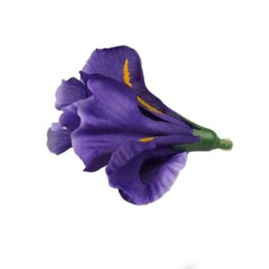 Irys - ciemny fiolet 24 sztuki