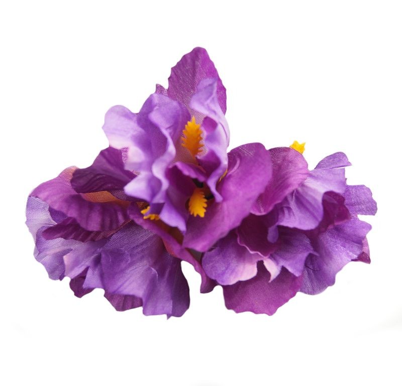 Irys - fioletowy jasny