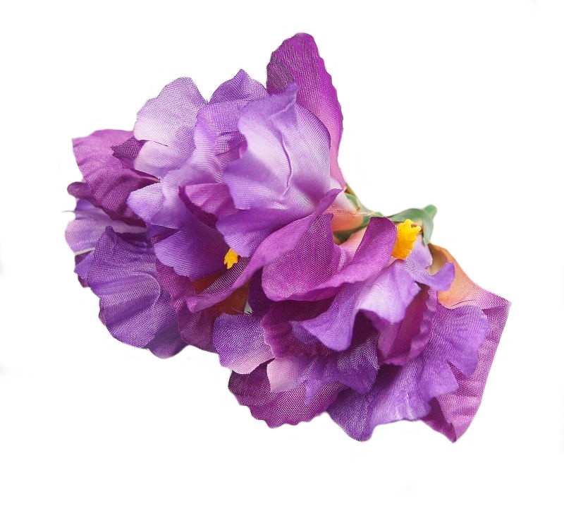 Irys - fioletowy jasny