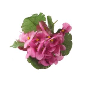 Prymulki - różowy bukiet