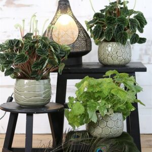 Osłonka ceramiczna - oliwkowa