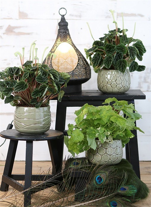 Osłonka ceramiczna - oliwkowa