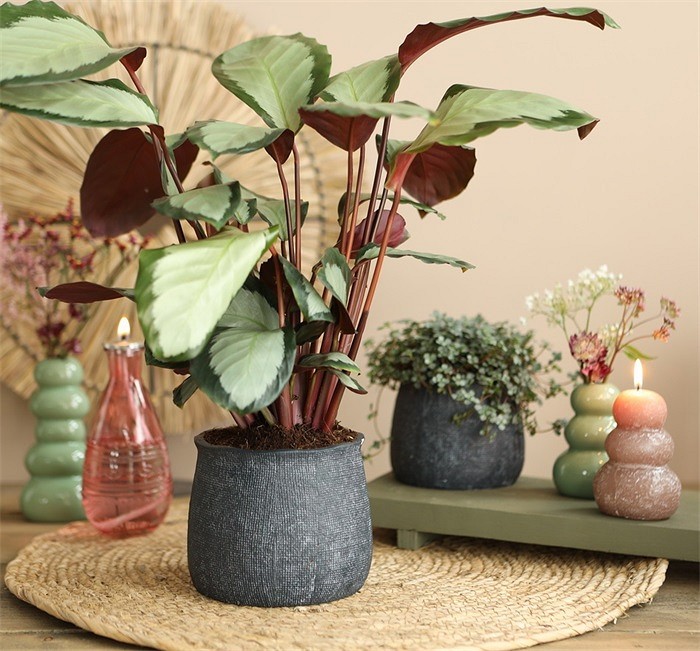 Osłonka kolor antracyt