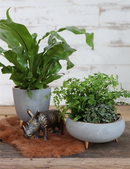 Osłonka- misa na miedzianych nóżkach