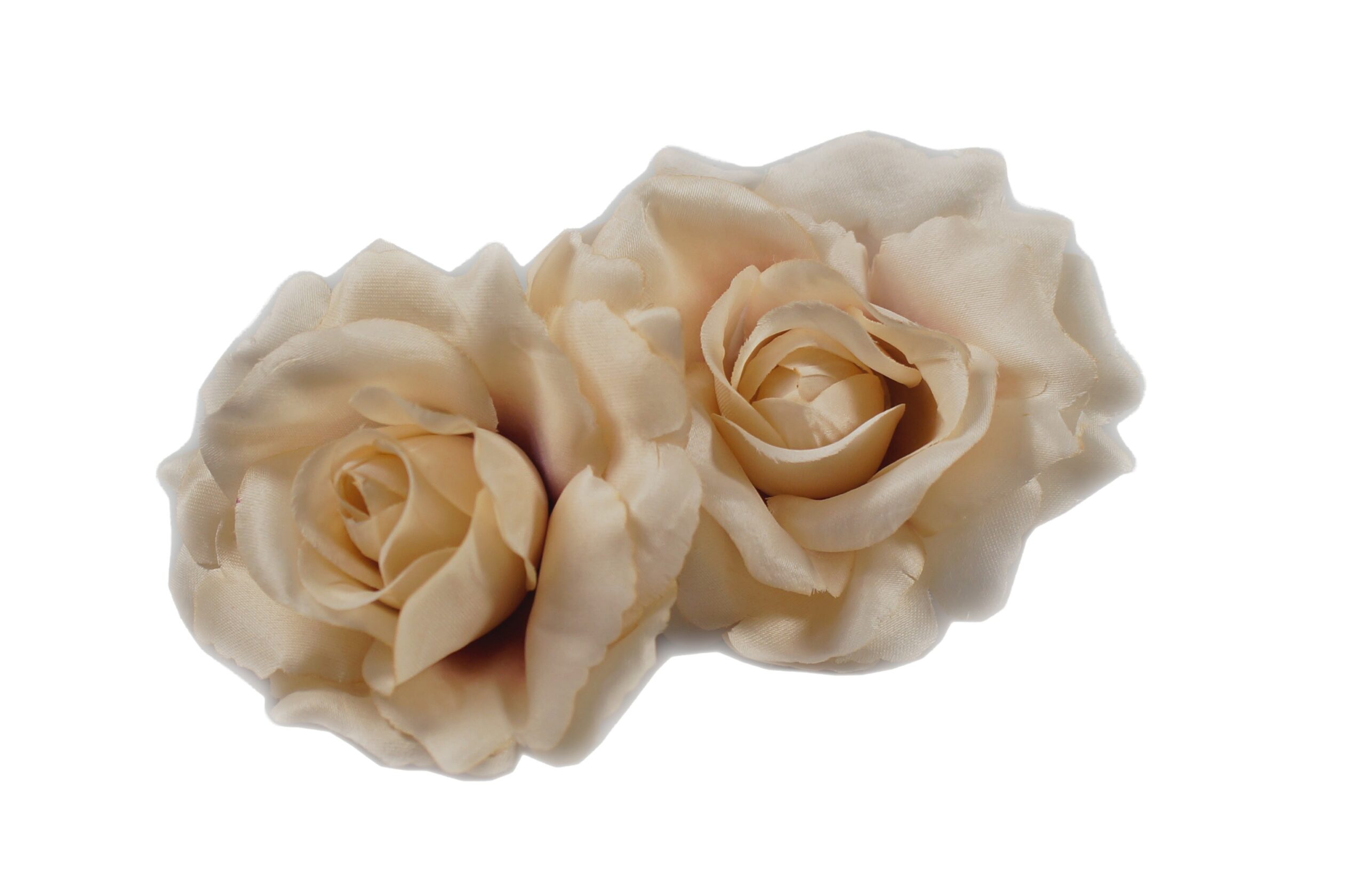 Róża wyrobowa kremowo-fioletowa