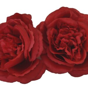 Róża angielska czerwona 12 szt. paczka