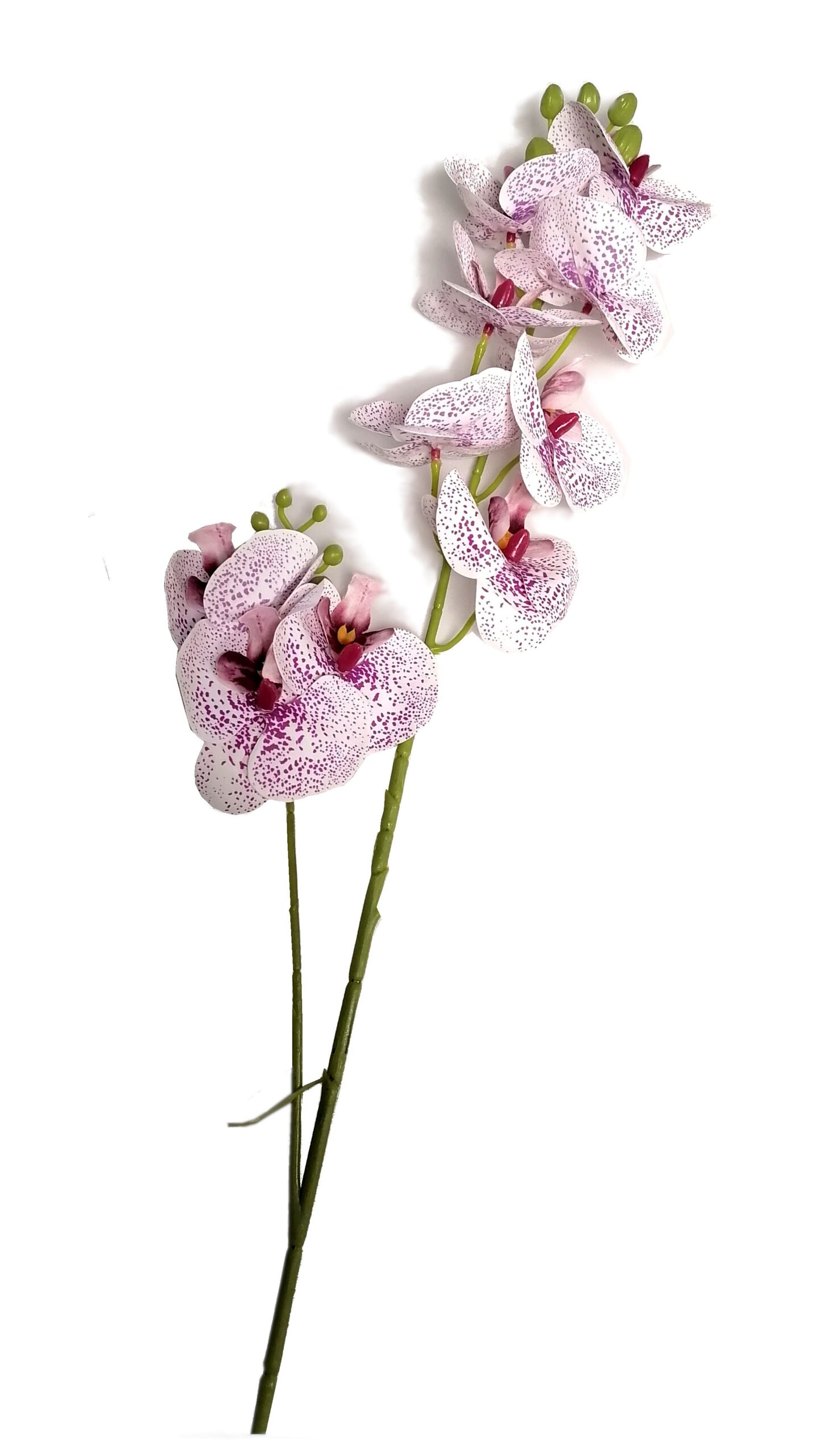 Storczyk/ Orchidea 85 cm