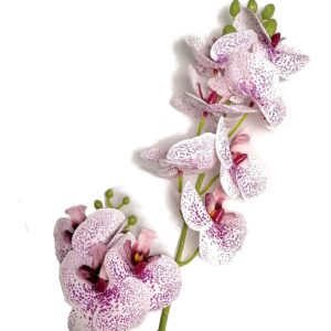Storczyk/ Orchidea 85 cm