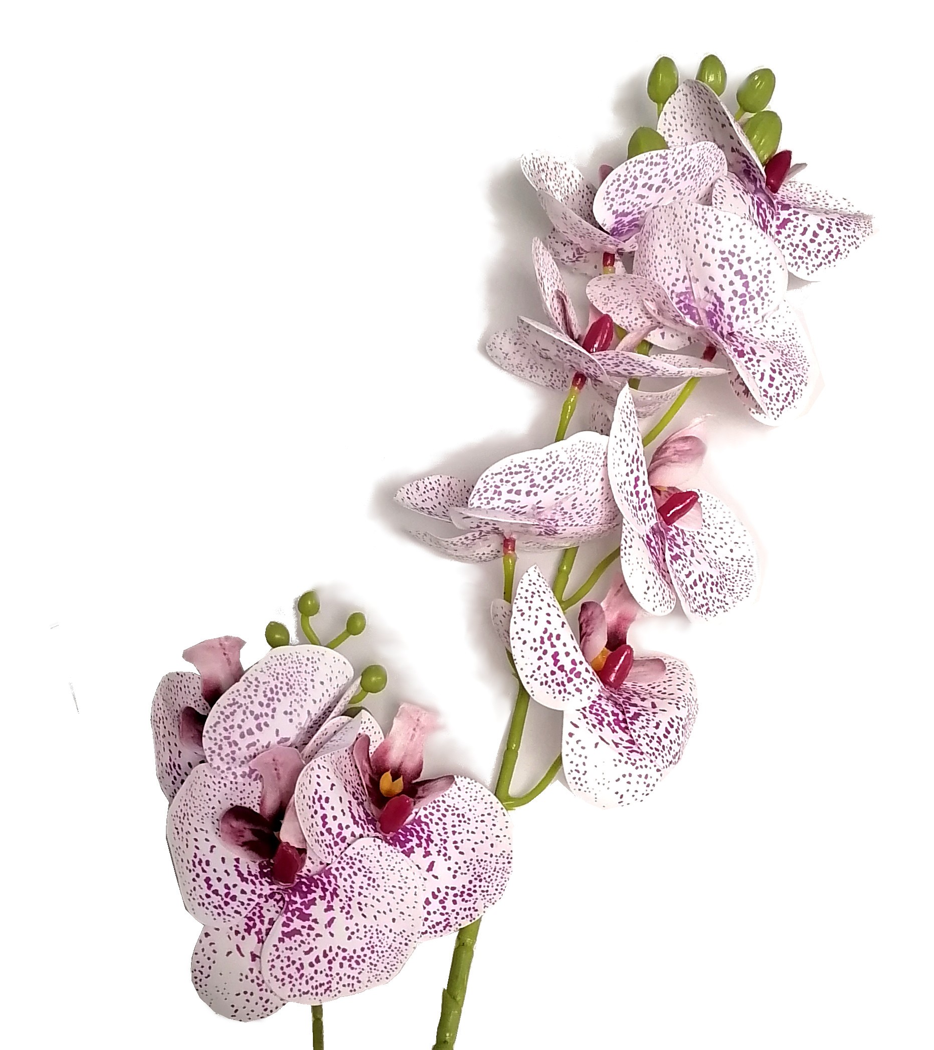 Storczyk/ Orchidea 85 cm