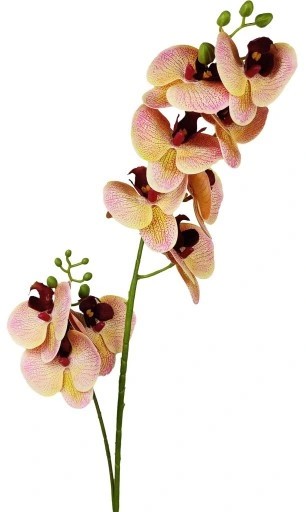 Storczyk/Orchidea żółty 85cm