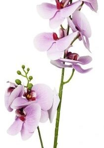 Storczyk/Orchidea jasnofioletowy 85 cm