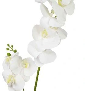 Storczyk/orchidea biały 85cm